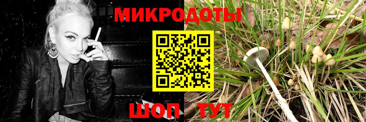 Псилоцибиновые грибы прущие грибы Тобольск