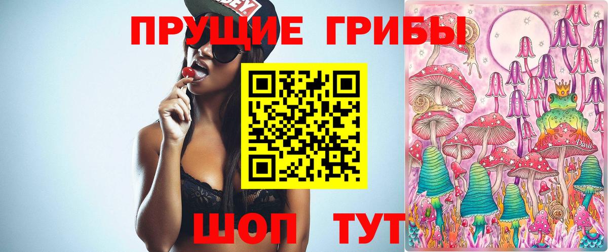 Тобольск  Галлюциногенные грибы Psilocybe  Вход с VPN 